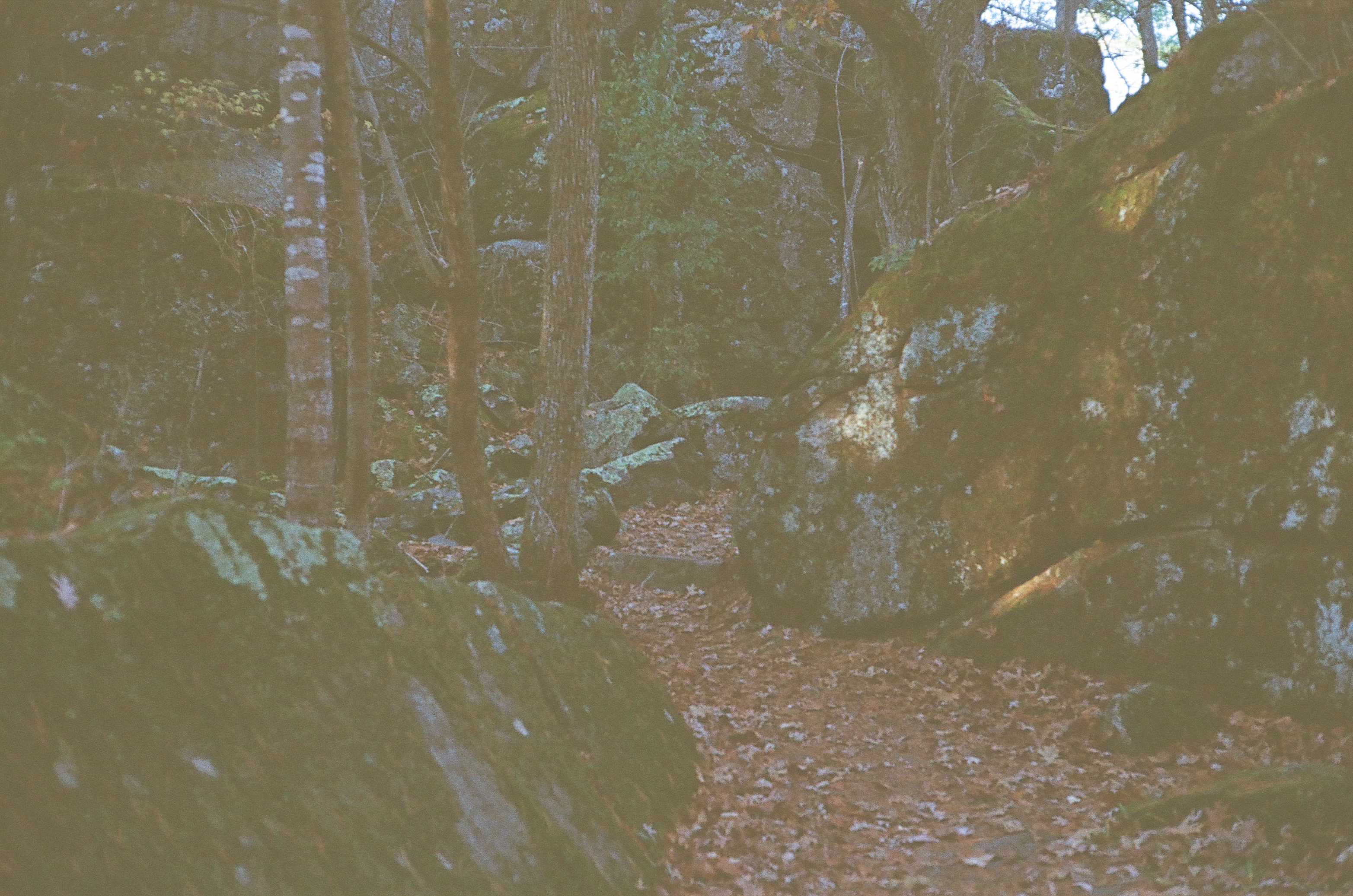 Interstate State Park, St Croix Falls WI - Rock Path